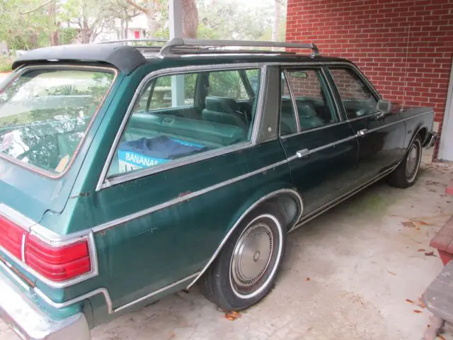 1979 dodge diplomat station wagon - the green machine