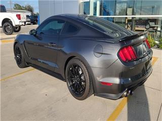 2017 Ford Mustang shelby gt350