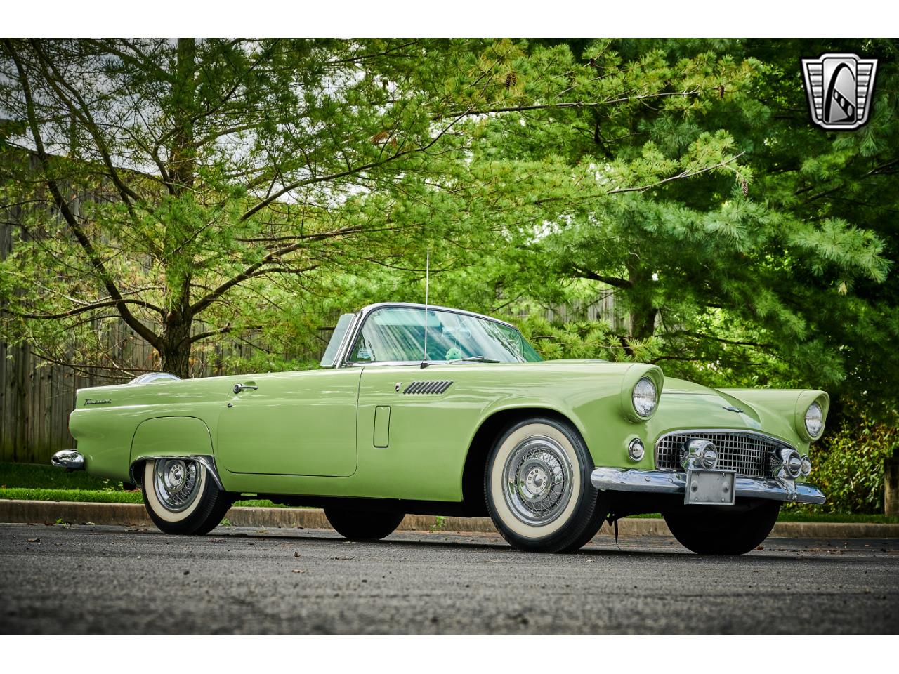 1956 ford thunderbird