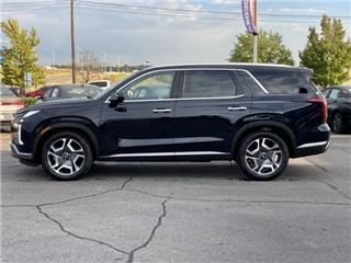 2025 Hyundai Palisade sel premium