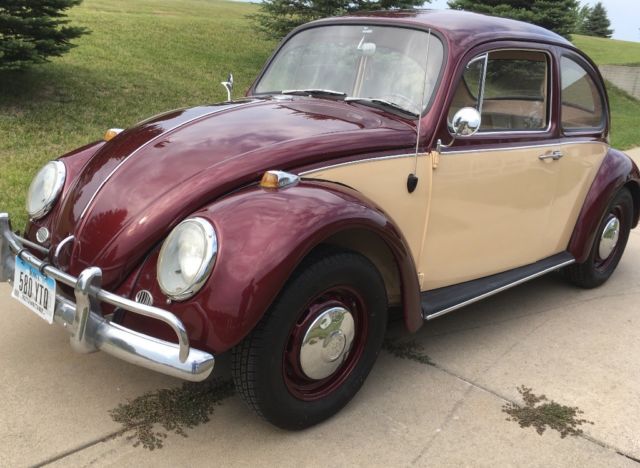 classic and clean 67 bug