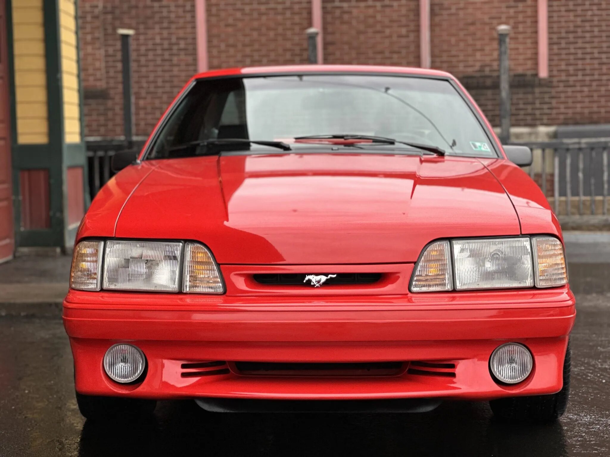 ford mustang svt cobra