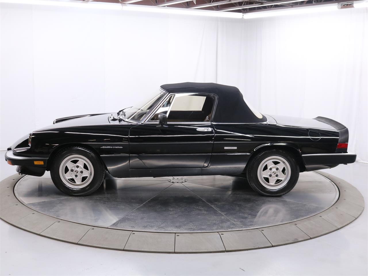 1986 alfa romeo spider