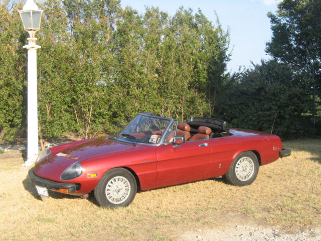 classic 1981 alfa romeo spider veloce