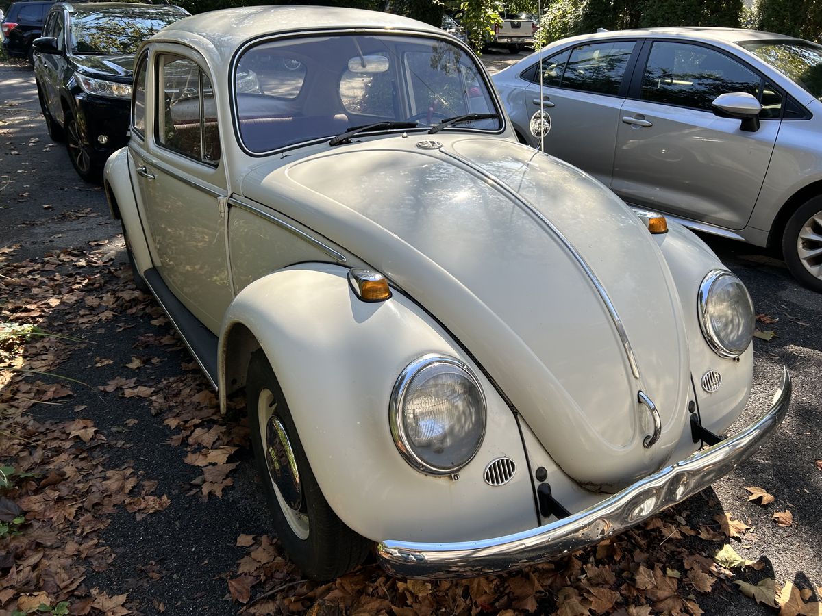1966 volkswagen beetle