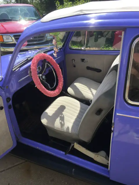beetle purple with ragtop,1967