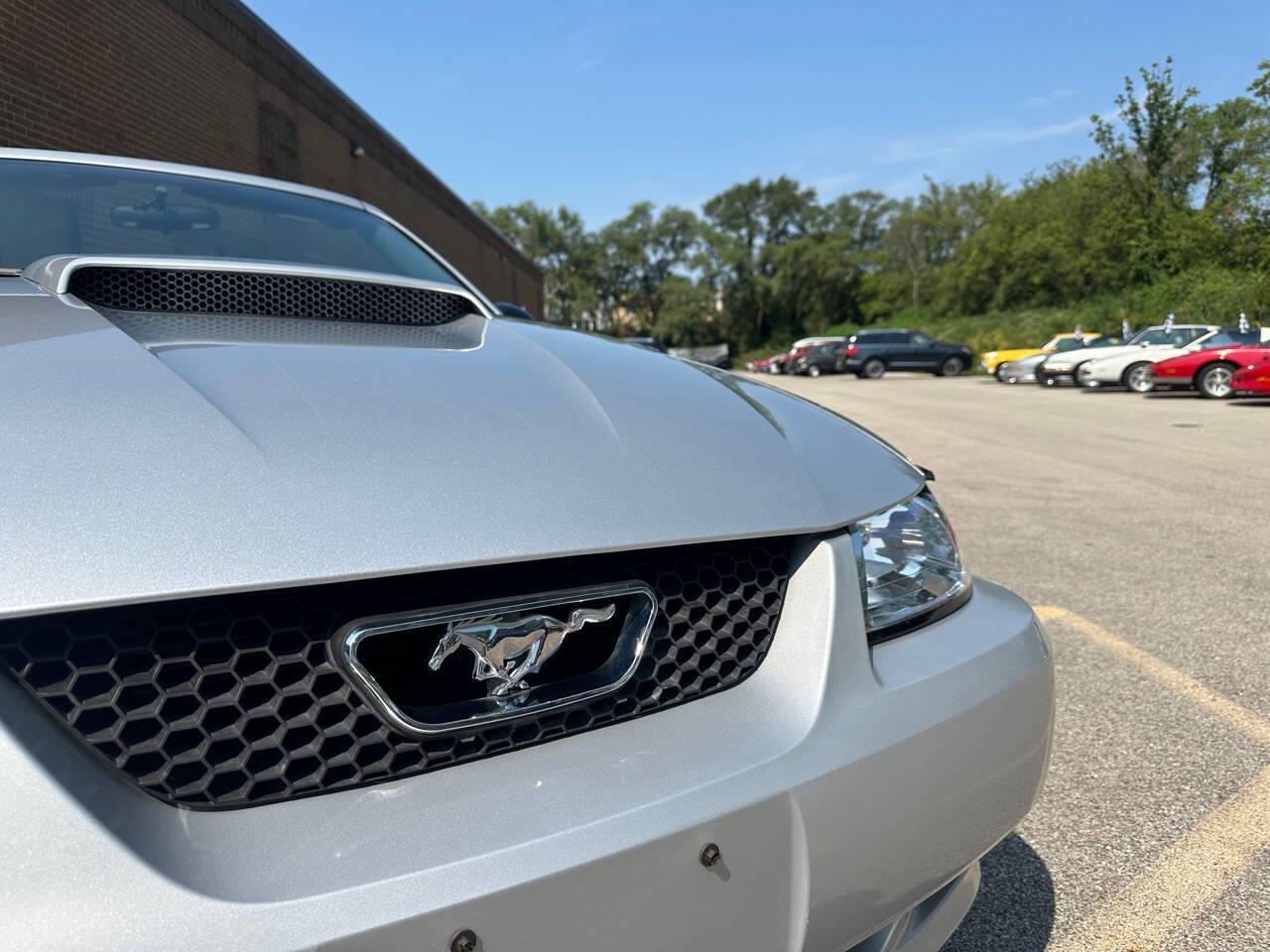 2004 ford mustang