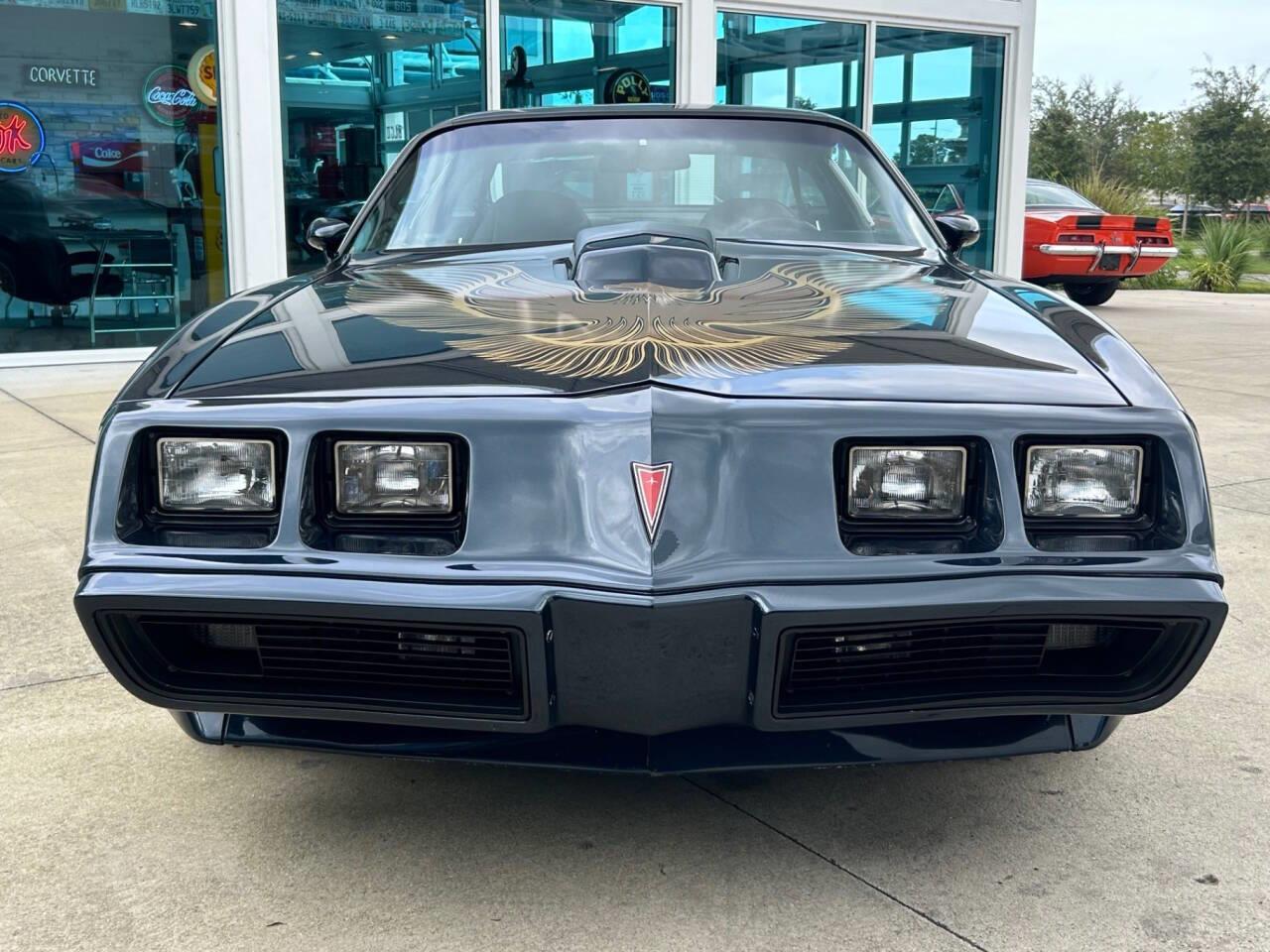 1981 pontiac firebird