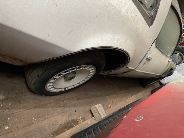 1981 pontiac trans am recaro pace car