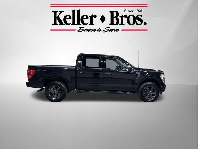 2022 ford f-150 xlt