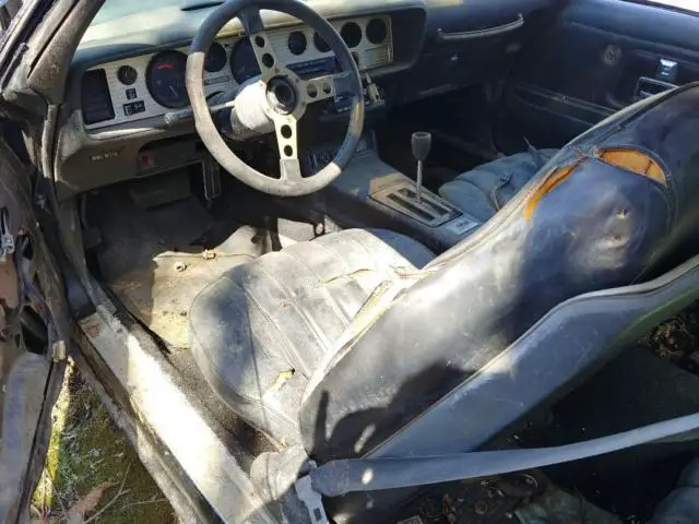 1977 pontiac trans am y82