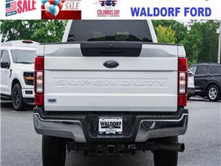 2021 Ford F-250 platinum
