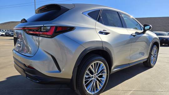 2025 Lexus NX