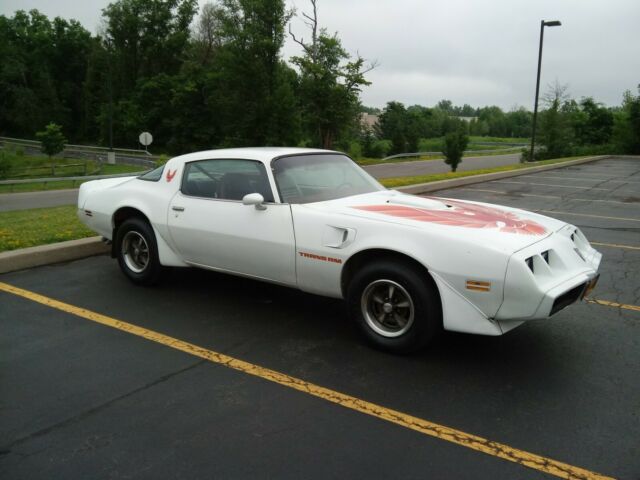 1979 firebird trans am survivor