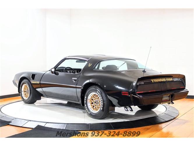 1980 pontiac firebird trans am in springfield, ohio