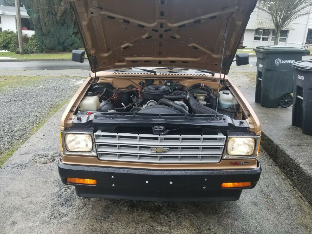 1989 chevy s-10 extended cab 4.3 litre vortec v6 4x2
