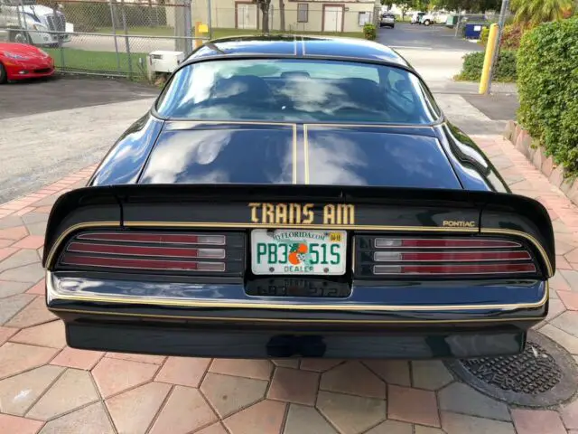 1976 trans am special edition y82 50th anniversary frame off restoration