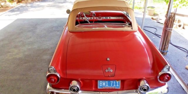 cute an beautiful 1955 ford thunderbird