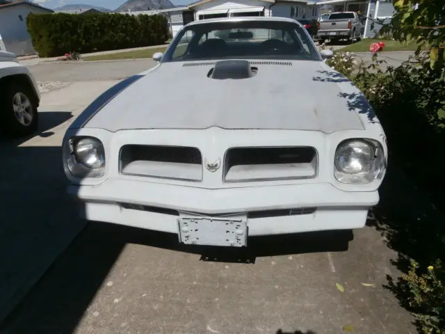 1976 pontiac transam 455