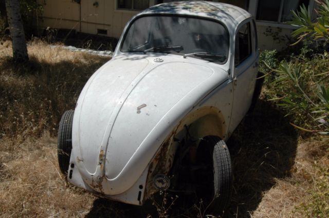 1967 vw volkswagen beetle bug originally savannah beige no engine solid cali car