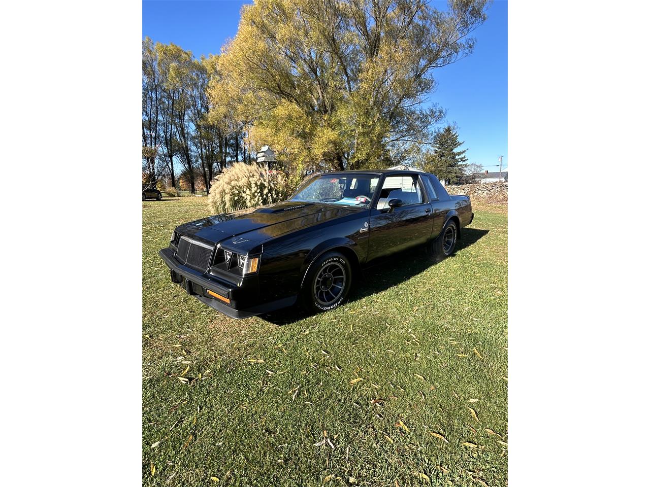 1985 buick grand national