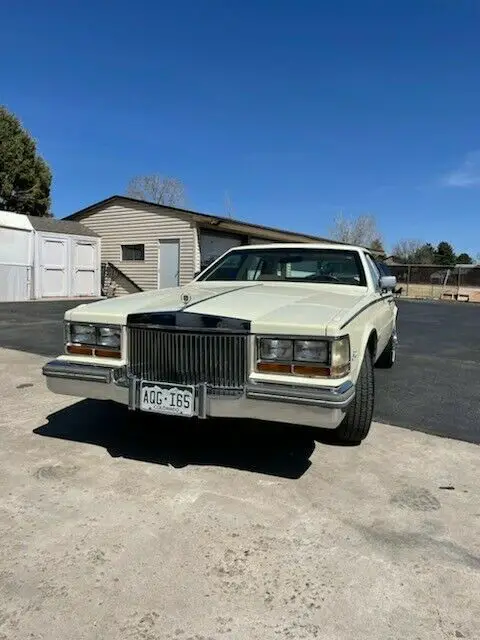 beautiful driver ready to enjoy!
