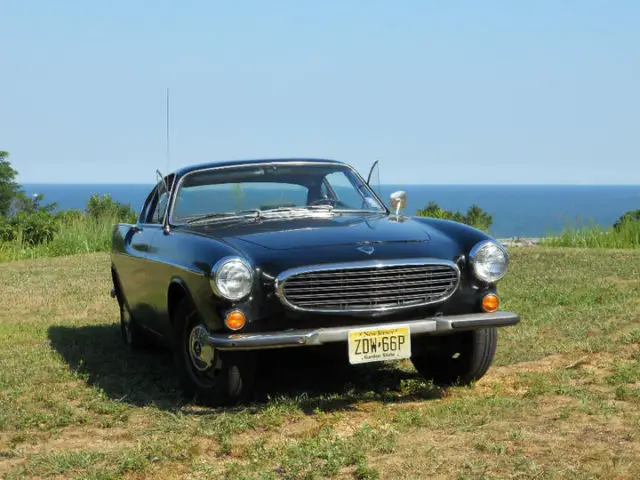 1969 volvo 1800s