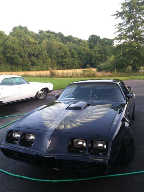1979 trans am special edition y84 ws6