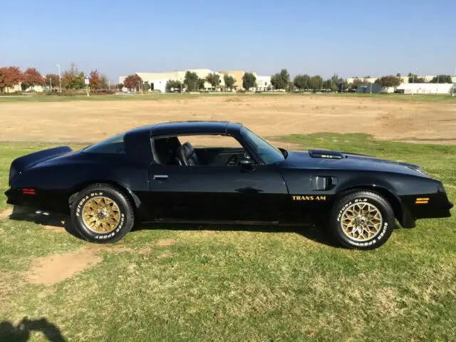 1978 pontiac trans am black bird