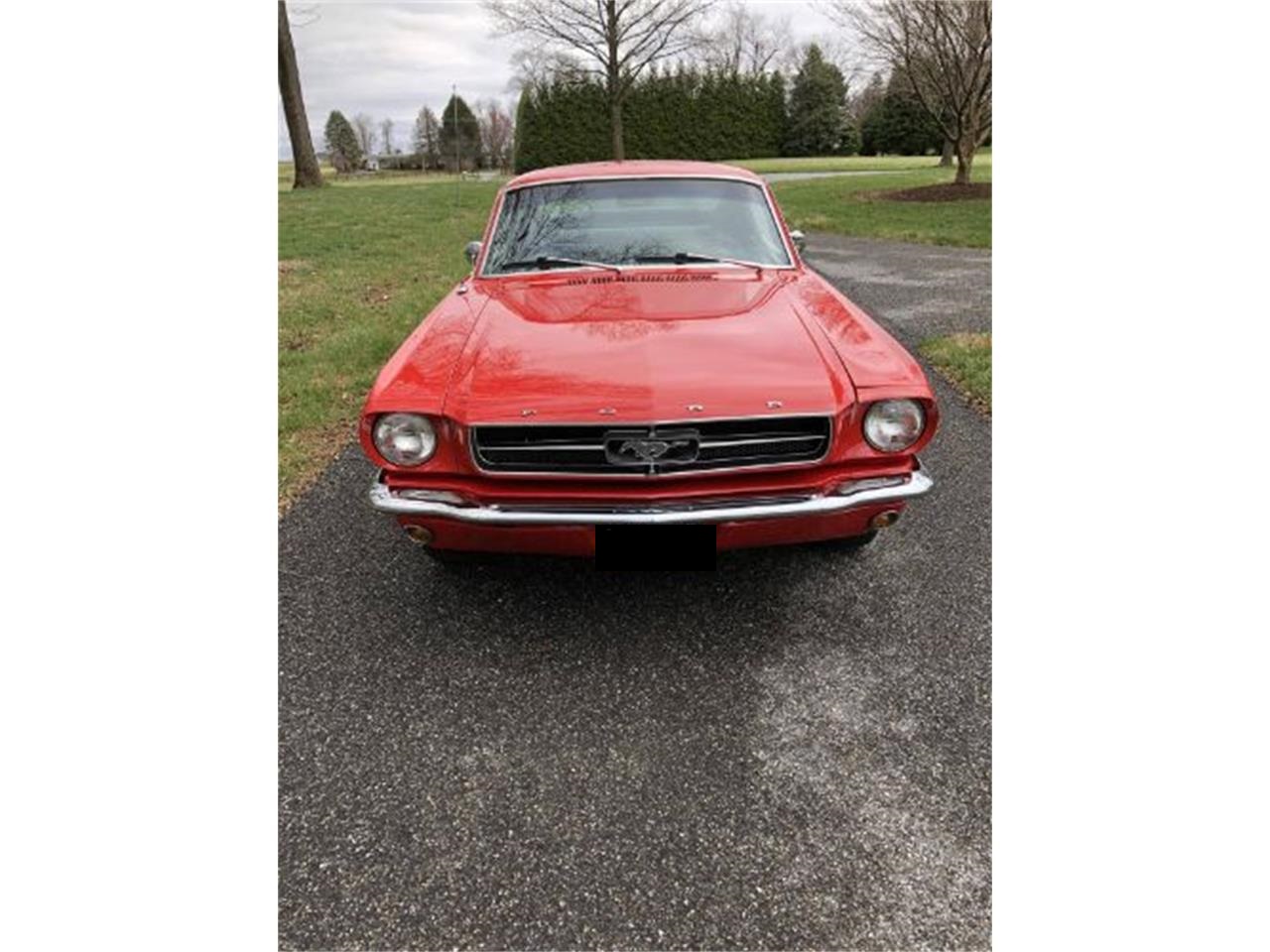 1965 ford mustang