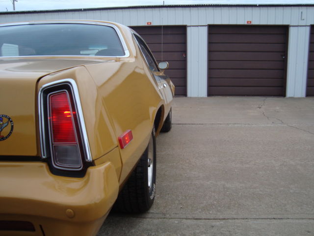 rare 1975 road runner