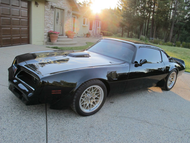 1977 pontiac firebird trans am coupe 6.6l - dhc means streets black out edition