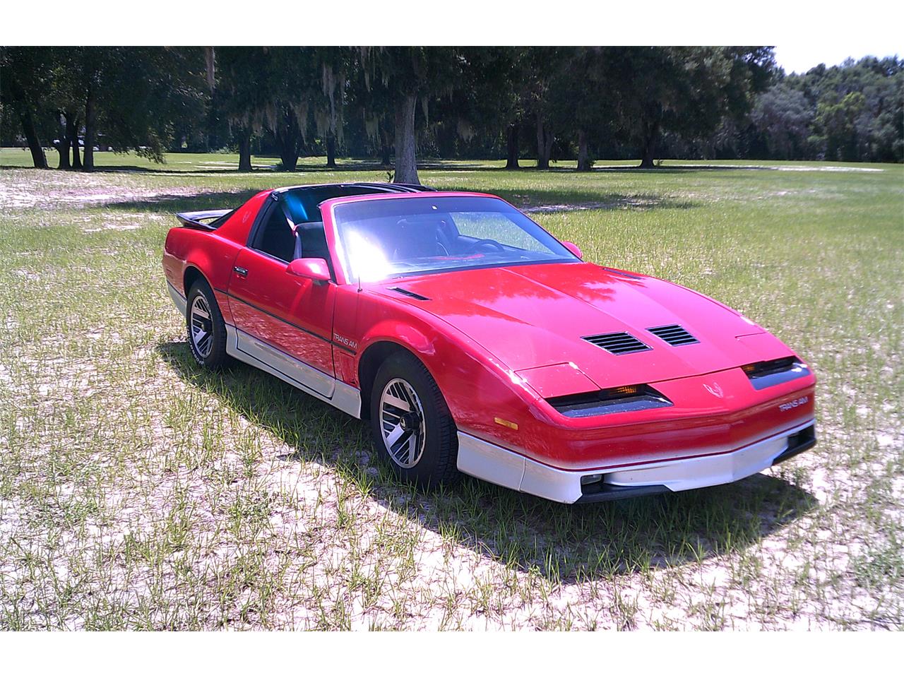 for sale: 1986 pontiac firebird trans am in mount dora, florida for sale in mount dora, fl