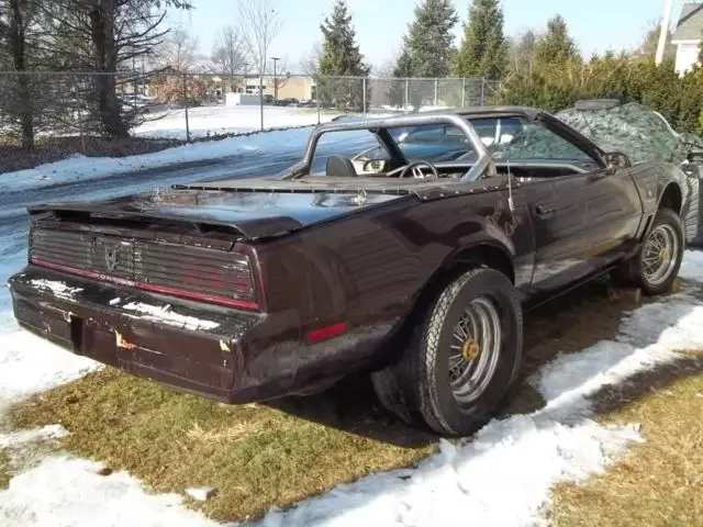 1982 pontiac trans am convertible 64000 miles! great kitt knight rider 1983 1984