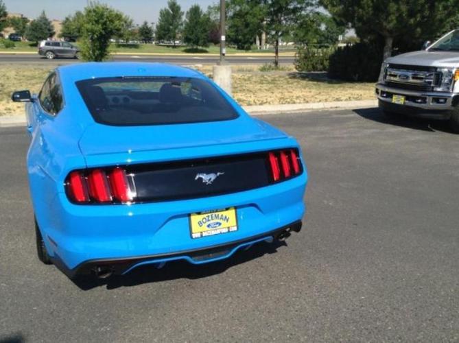 2017 ford mustang ecoboost premium ecoboost premium 2dr fastback for sale in bozeman, montana