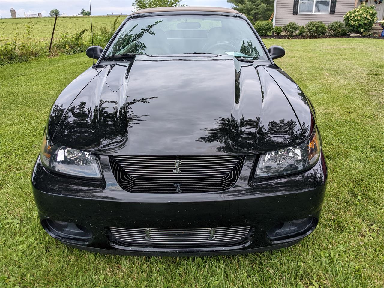 2001 ford mustang cobra