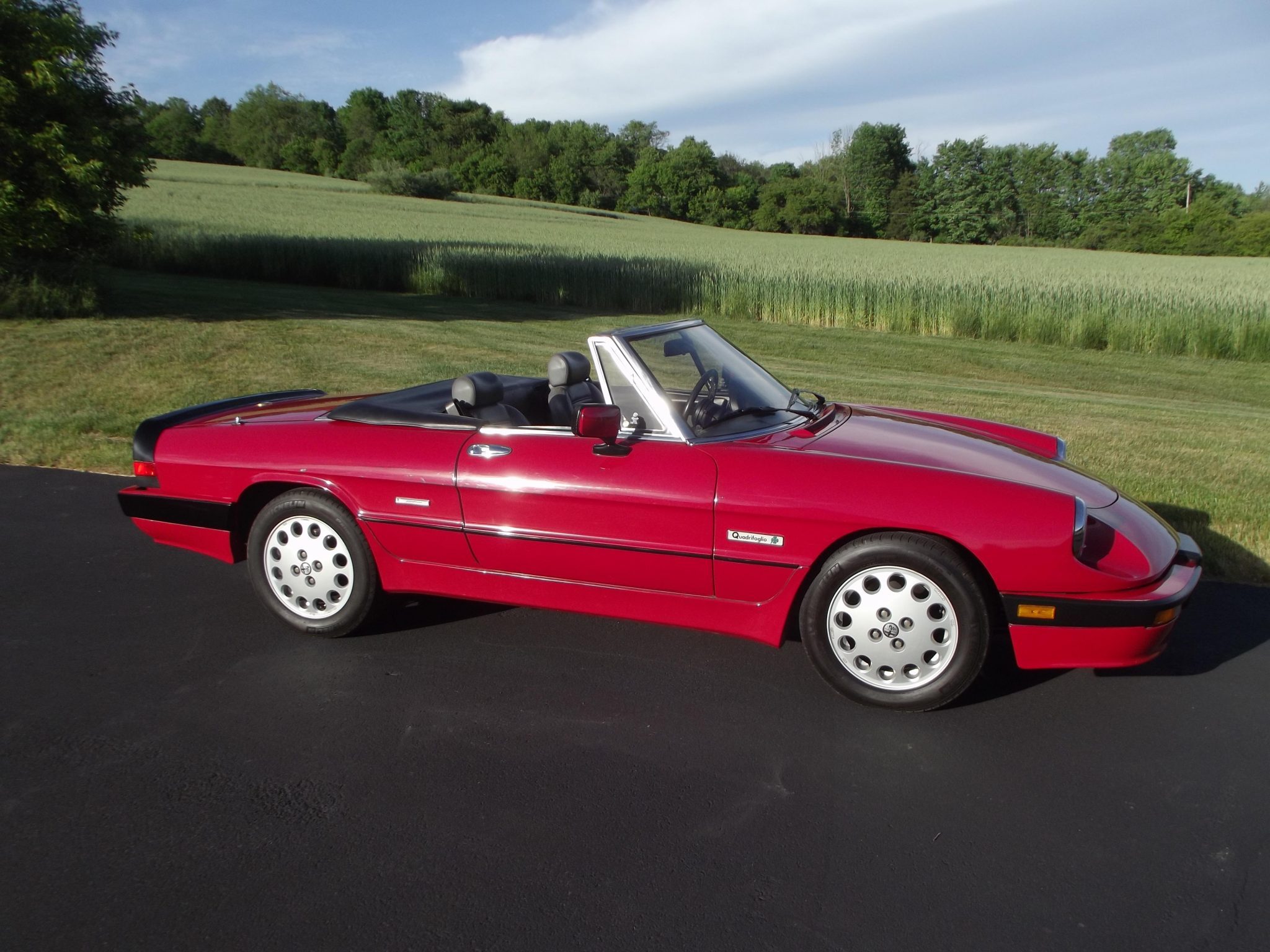 1987 alfa romeo spider quadrifoglio