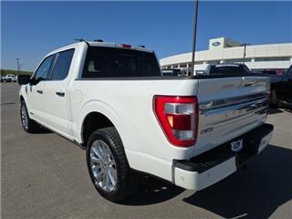 2023 Ford F-150 limited