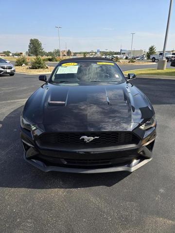 2023 ford mustang ecoboost