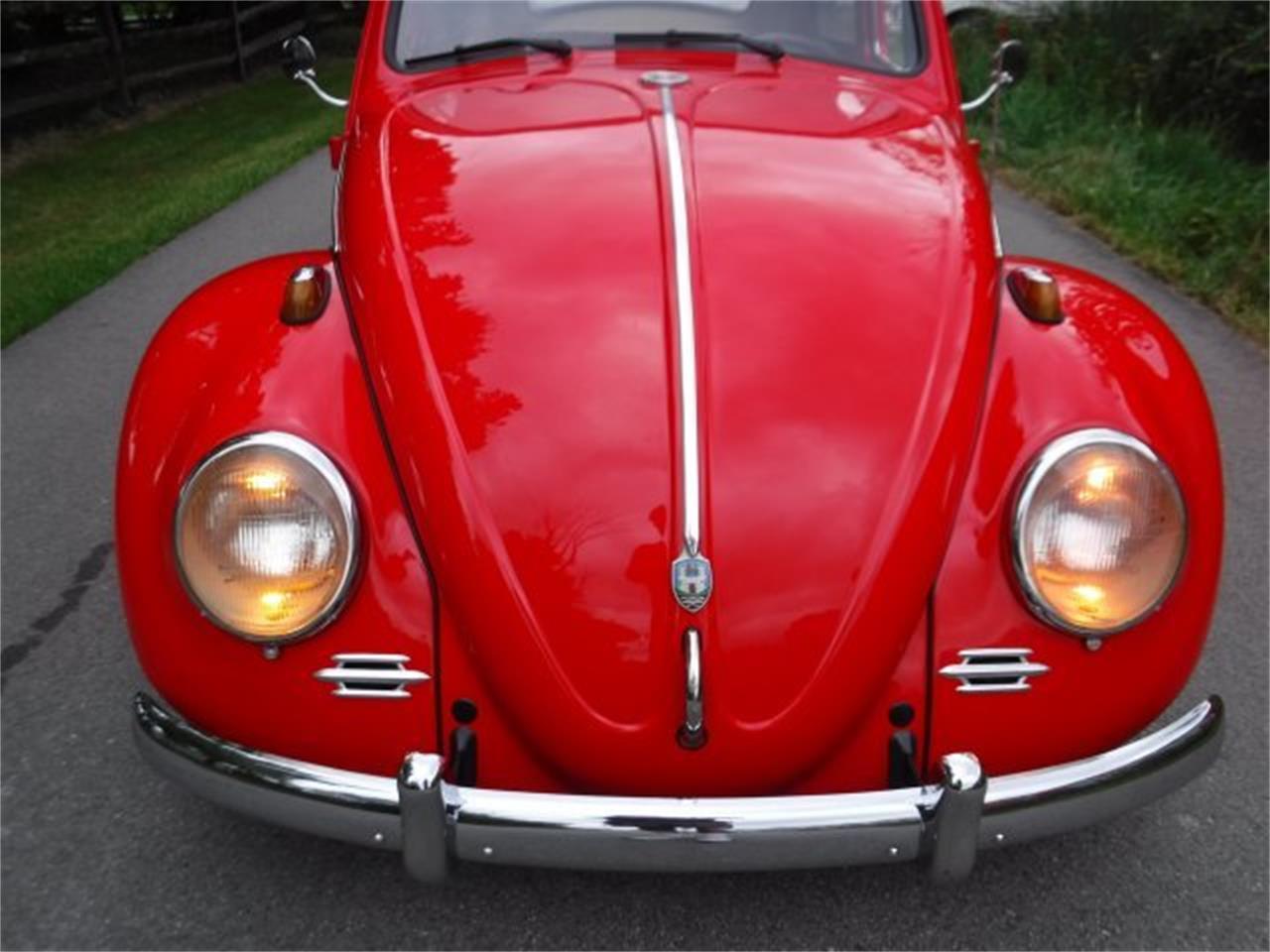 1959 volkswagen beetle