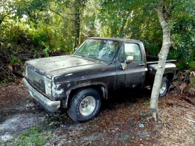 1985 chevy c-10 stepside pickup * in storage since 1995