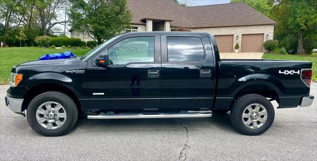 2013 ford f-150 xlt