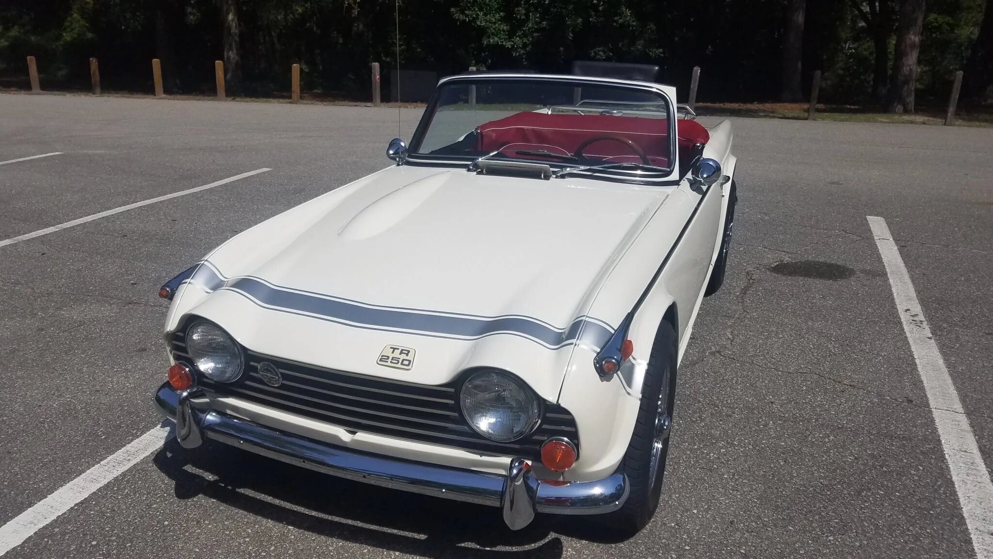 triumph tr250