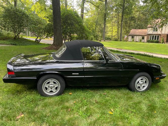 1986 alfa romeo spider veloce in chester, new jersey