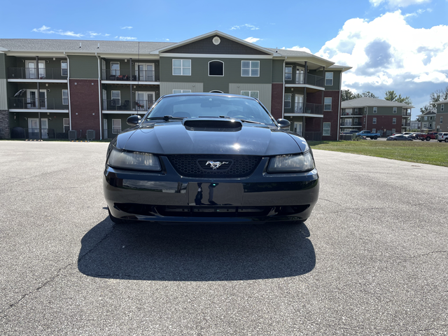 2001 ford mustang bullitt