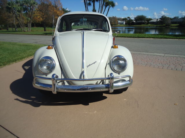1966 volkswagen beetle - gorgeous - you will not find a nicer one -stunning