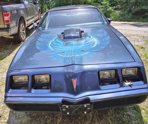 1981 pontiac trans am thunderbird for sale in south carolina by owner