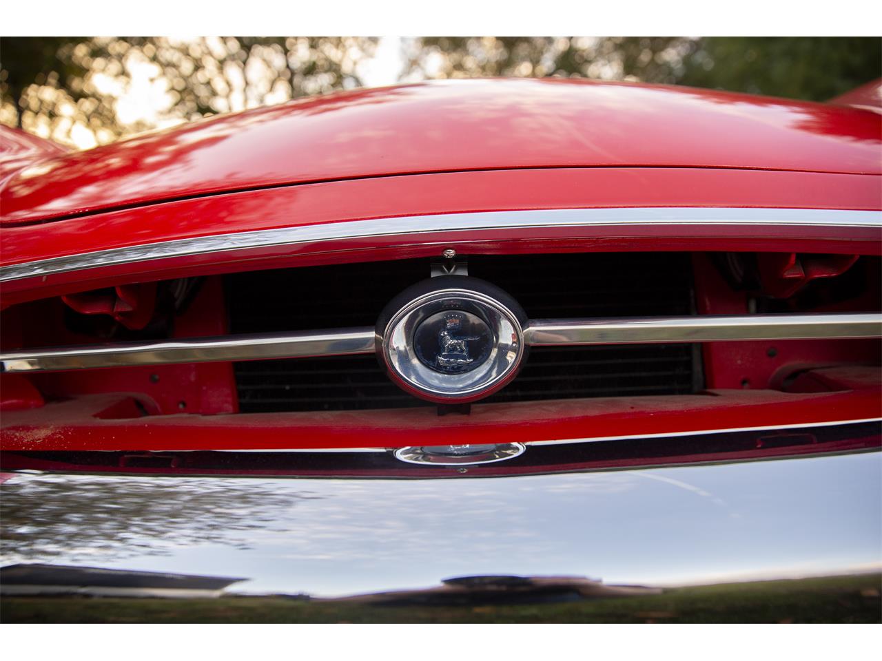 sunbeam tiger