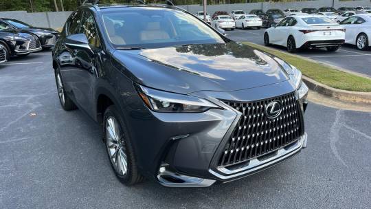 2025 Lexus NX