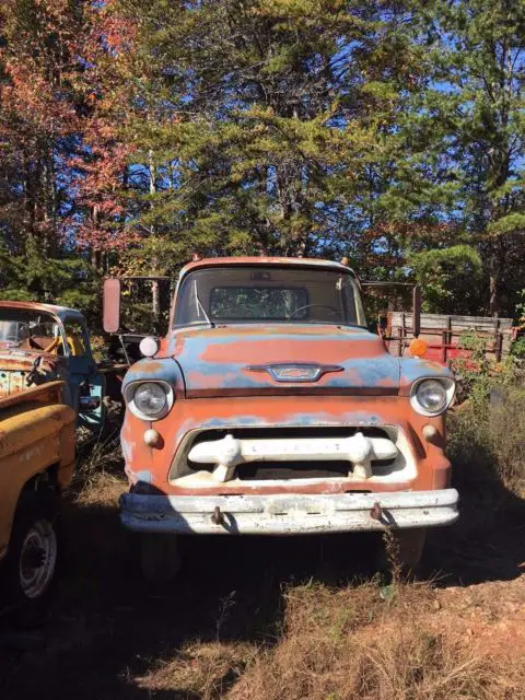 1955 chevrolet coe